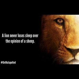 Meet your Posher, Lion